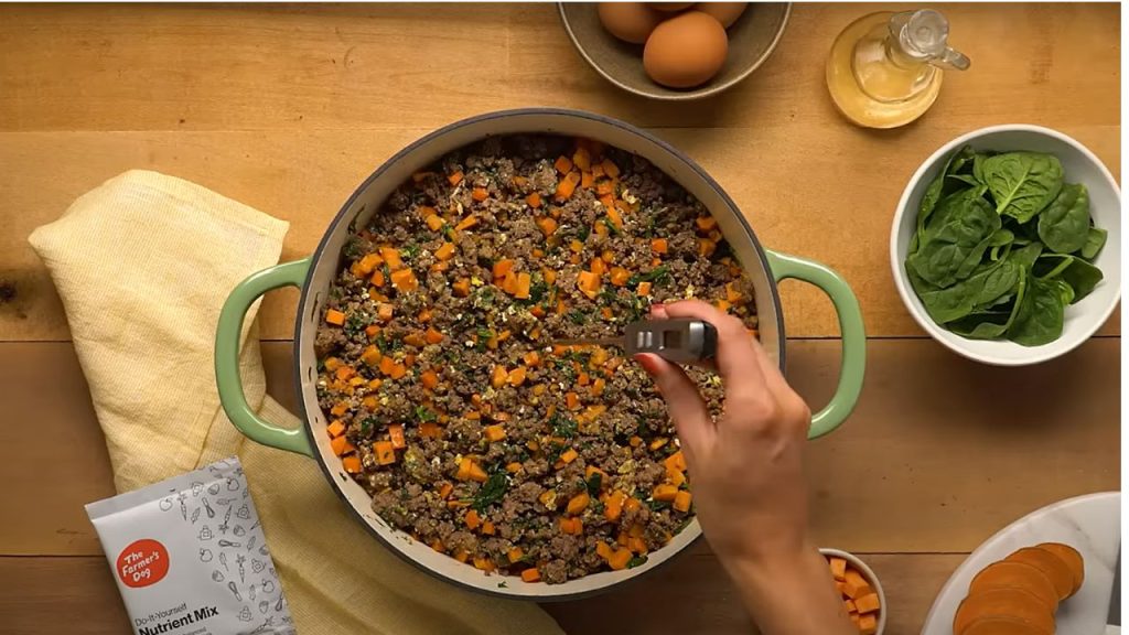 What is the best homemade food to feed a dog?