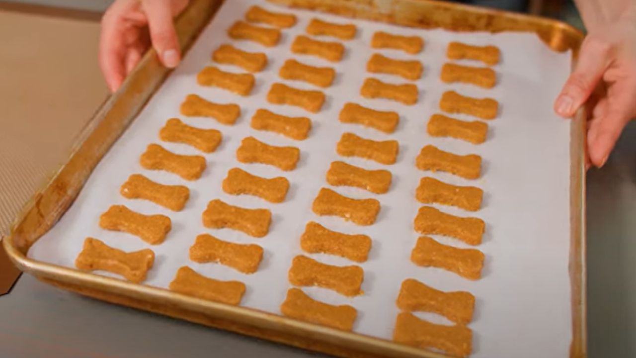 How to make natural dog food?