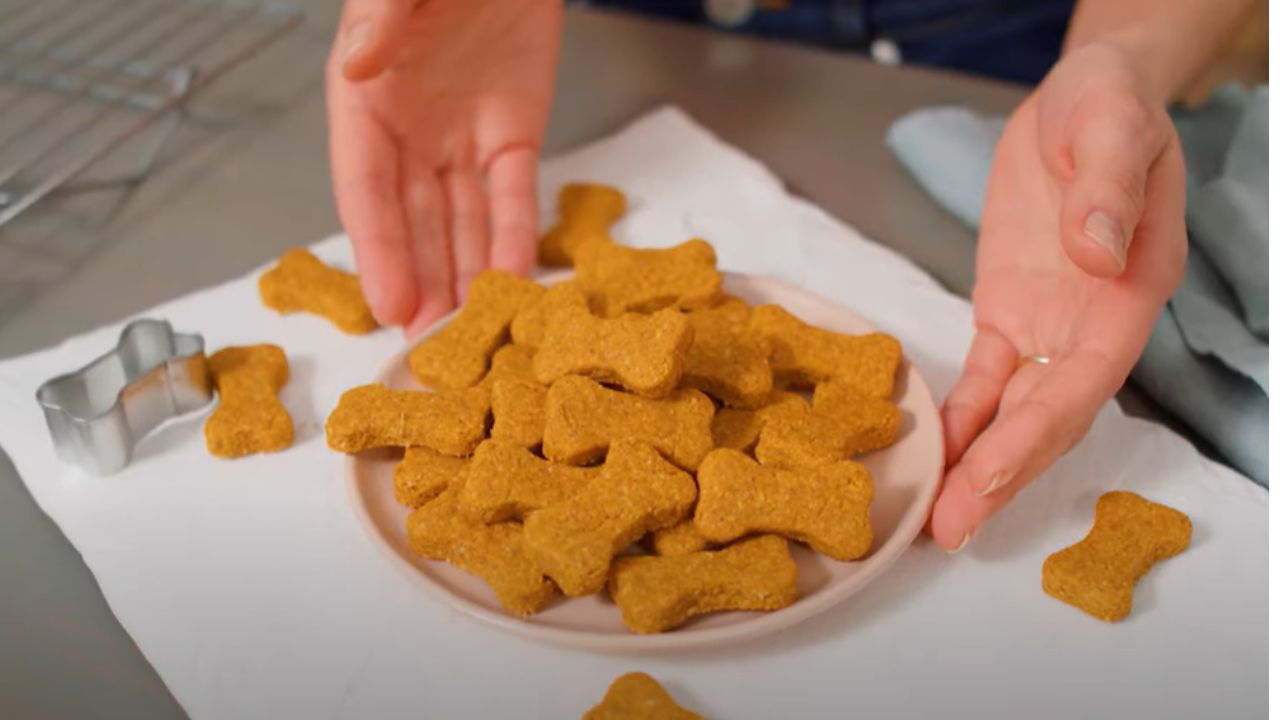 How to make dog food?