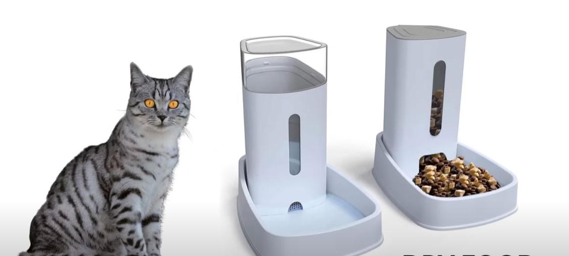 What Foods Do Cats Like