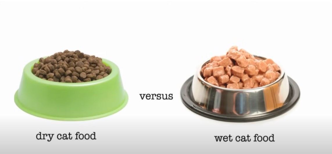 What food do cats love the most