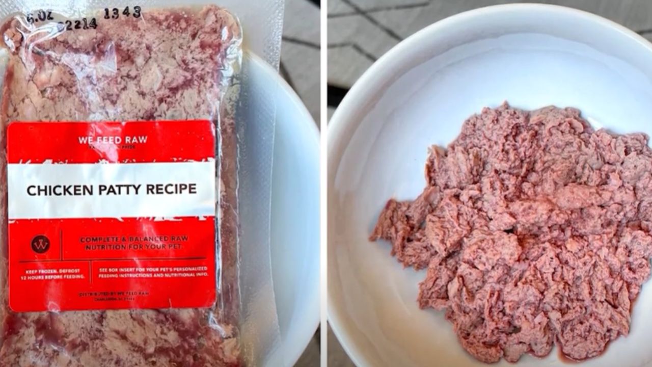 How to choose a dog food?