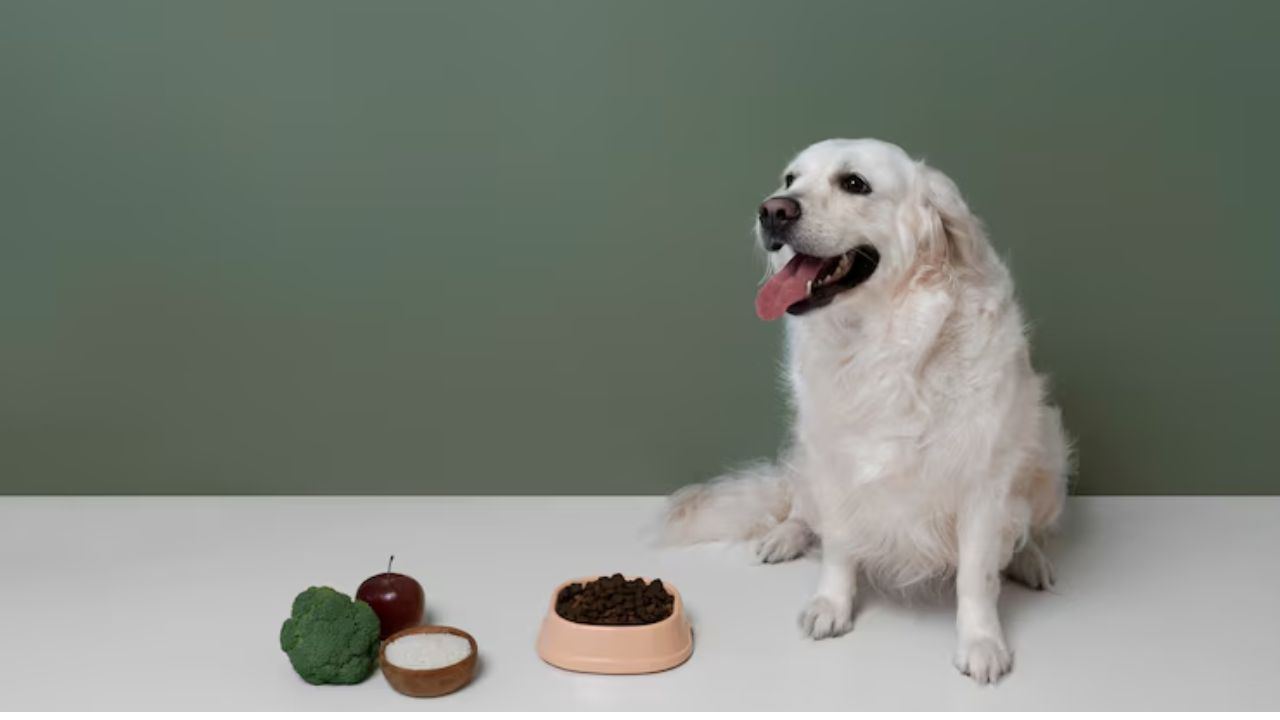 How long is it okay for a dog not to eat?