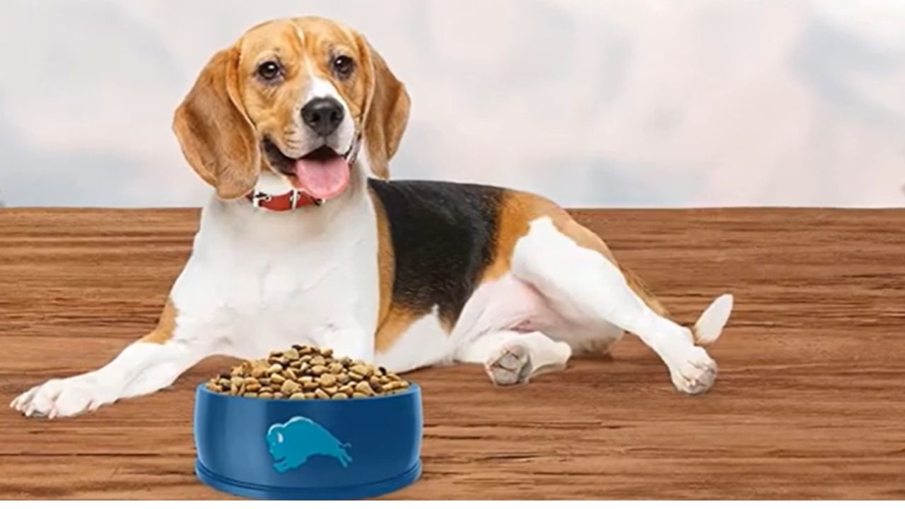 Fiber in Dog Food