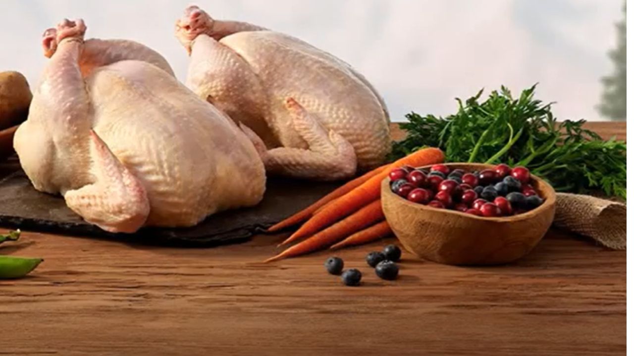 What foods are high in fiber for dogs?