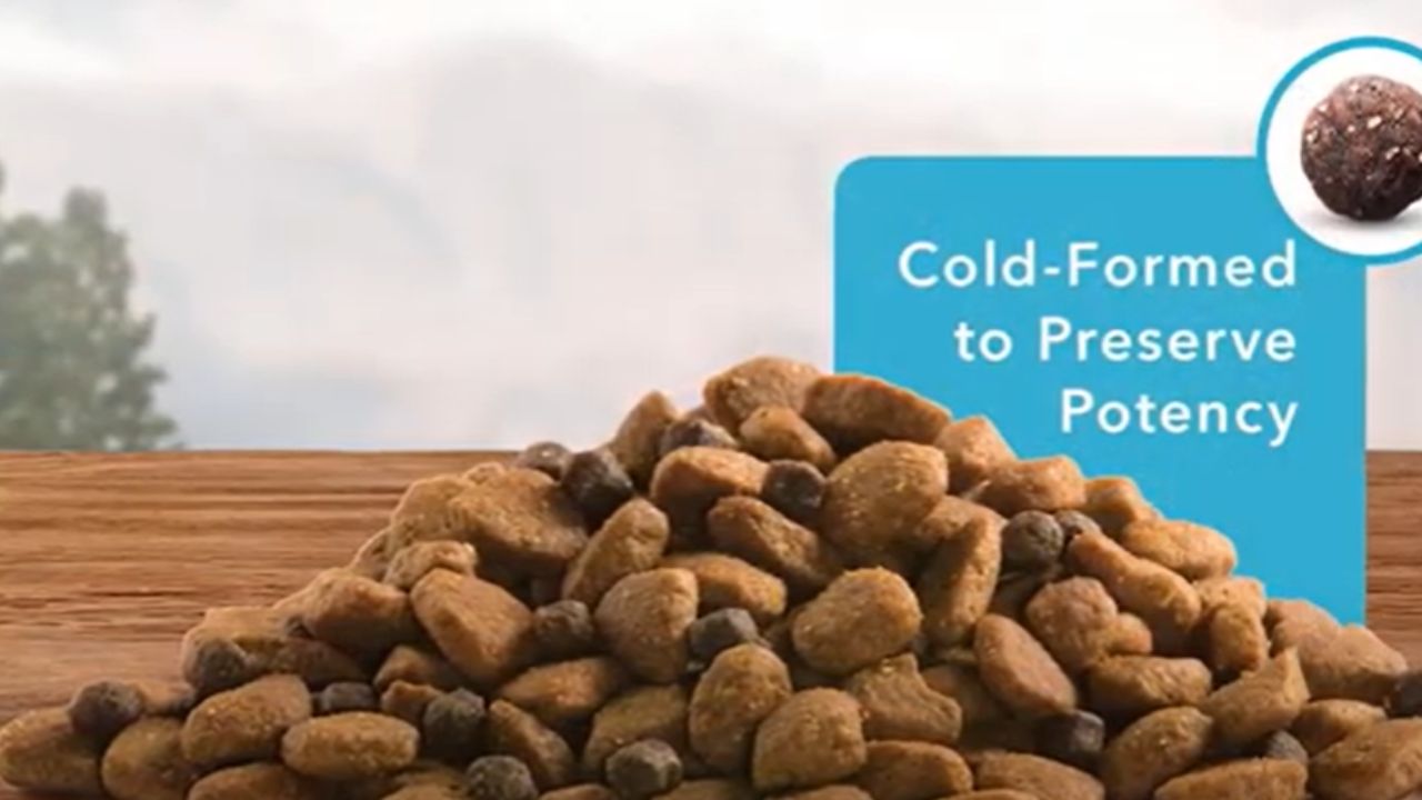 What does fibre do in dogs?