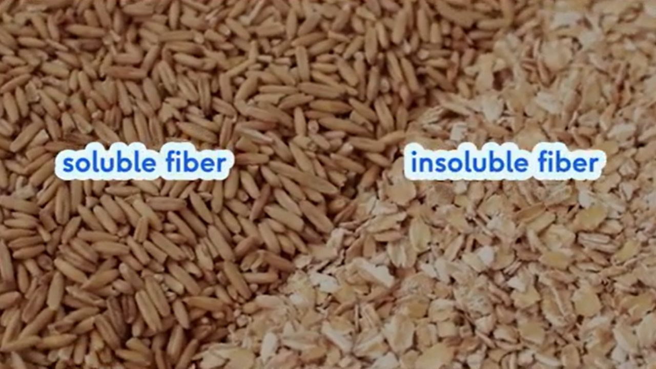 Is rice high in fiber?