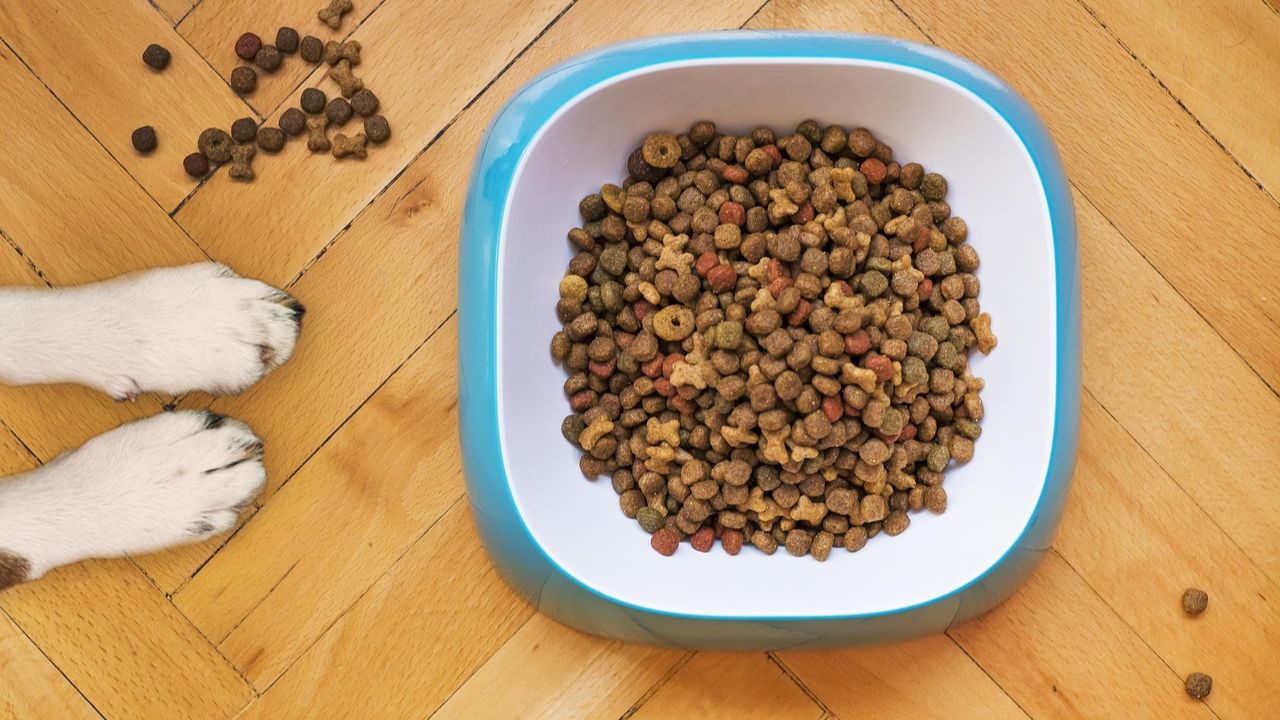 Is Hills Metabolic dog food good?