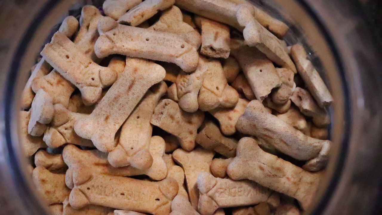 Is Costco dog food high quality