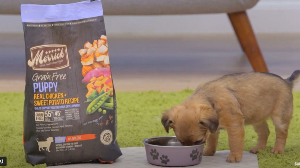 How many stars is Merrick dog food?