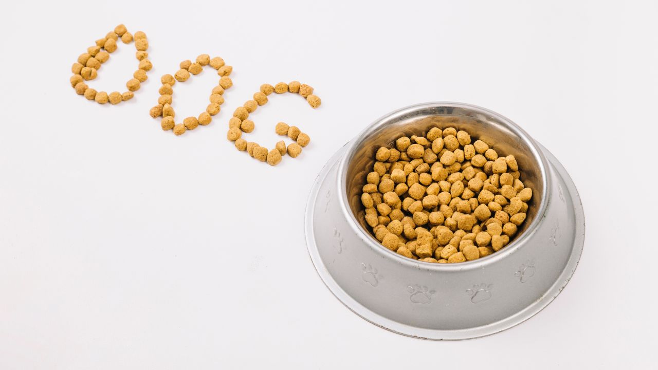 How does Pedigree rank as a dog food?