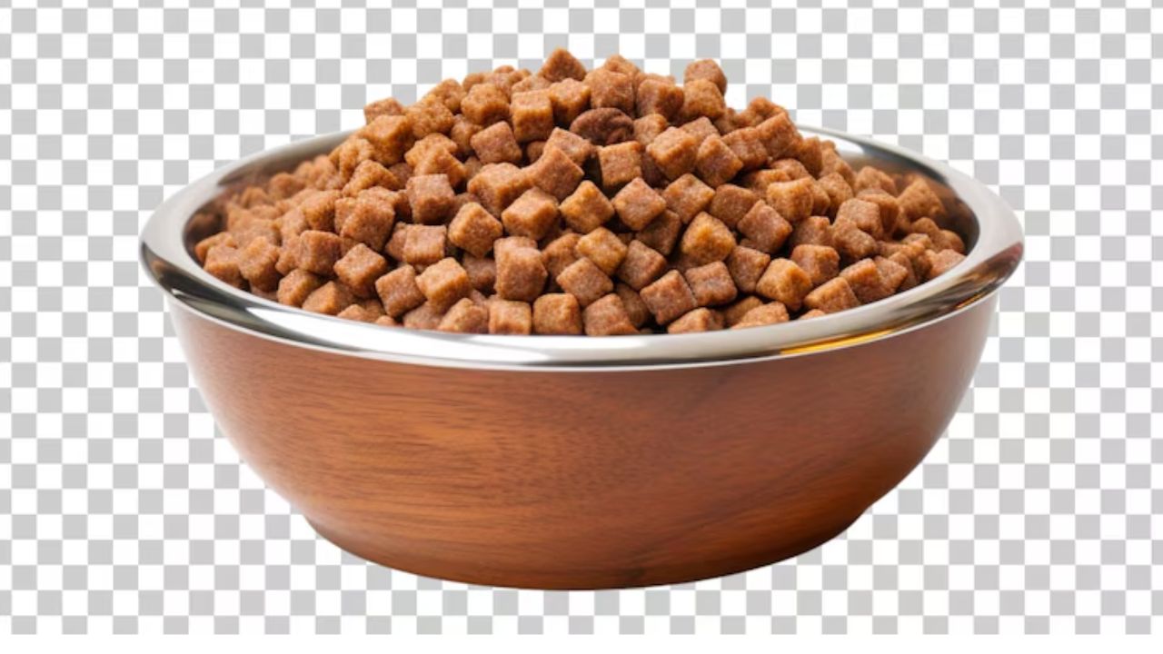 Katherine Heigl Dog Food