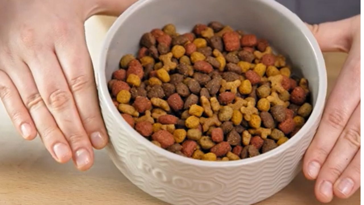 What age is puppy chow for?