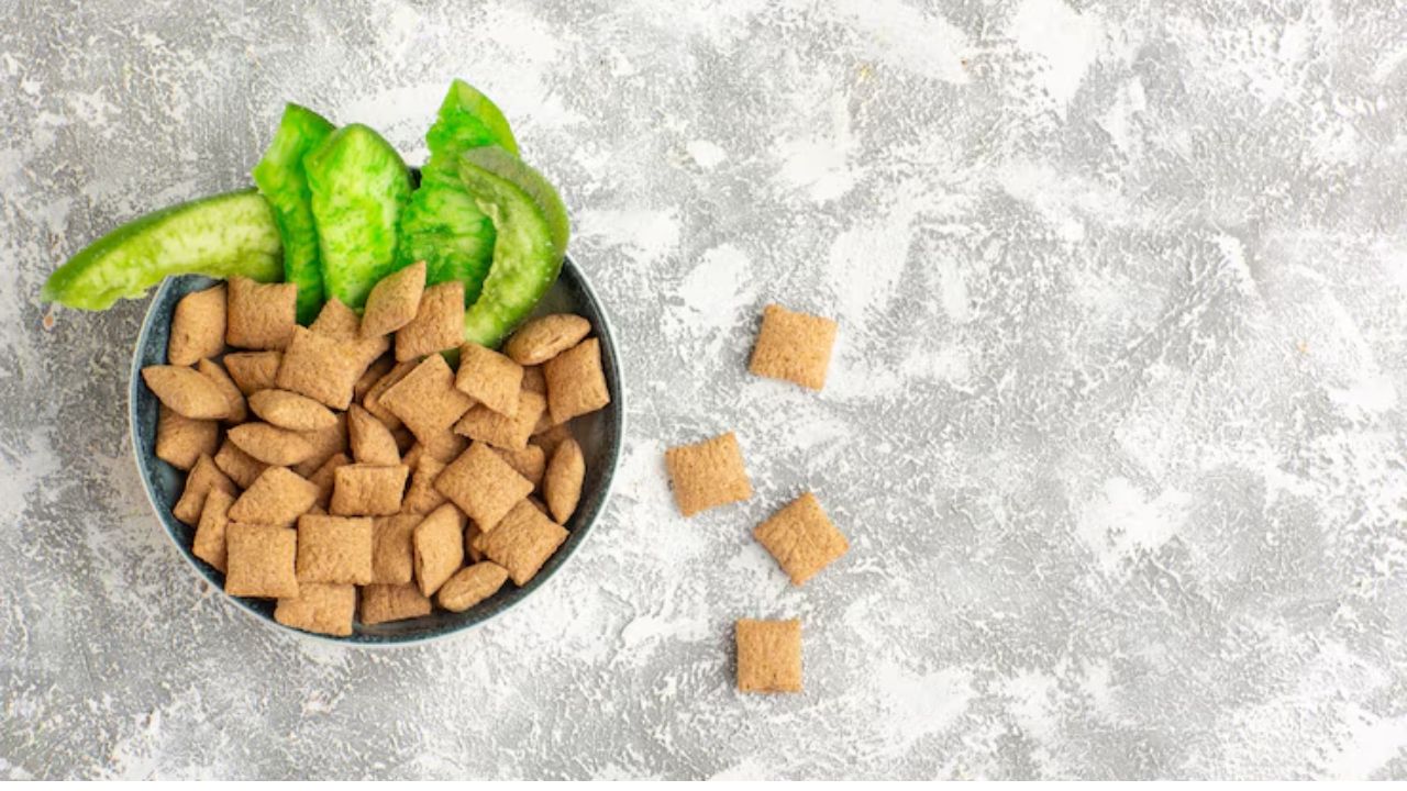 What is the best food for a chow chow puppy?
