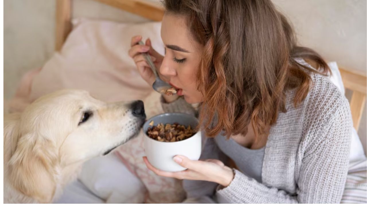 Puppy Chow Dog Food