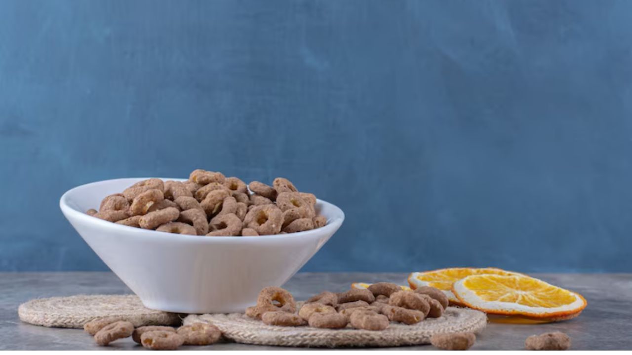 Who makes Rachael Ray Nutrish dog food?