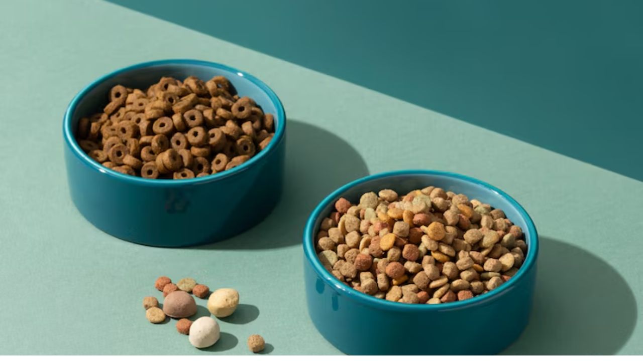 What is going on with Rachael Ray dog food?
