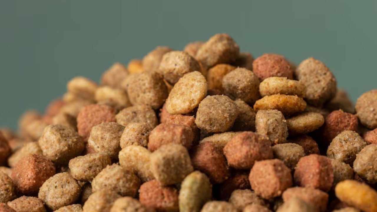 Is Victor dog food safe?