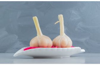 Can Dogs Eat Food With Garlic