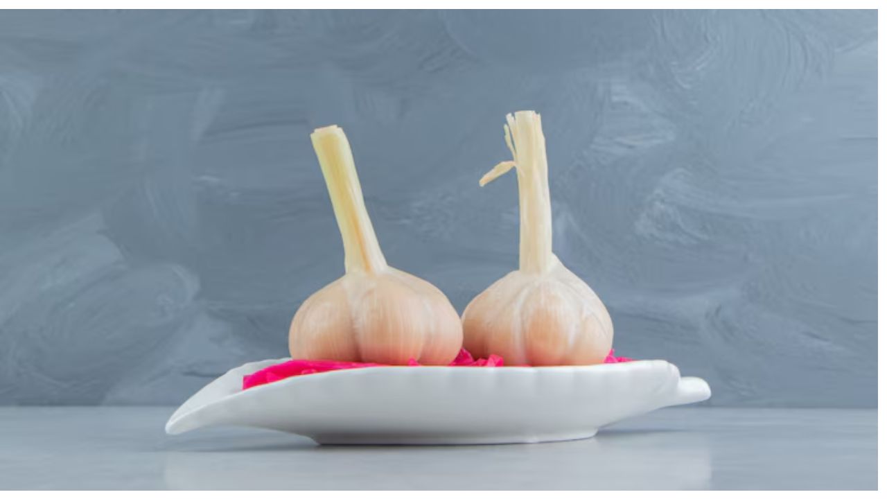 Can Dogs Eat Food With Garlic