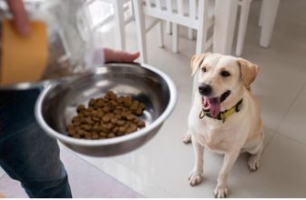 Who Makes Kirkland Dog Food