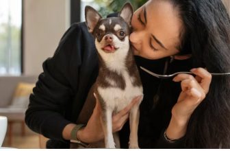 Can Dogs Eat Food With Onions