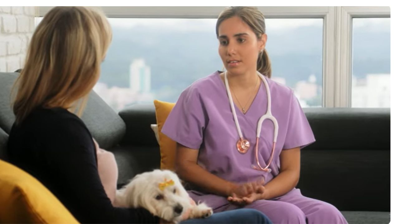 Will my dog be okay if he ate one onion ring?