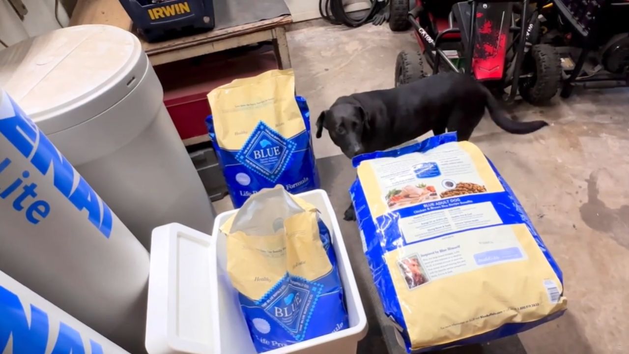 Is Blue Buffalo brand dog food good?