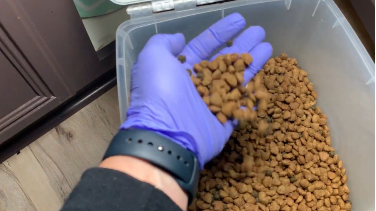 Is Blue Buffalo dog food natural?