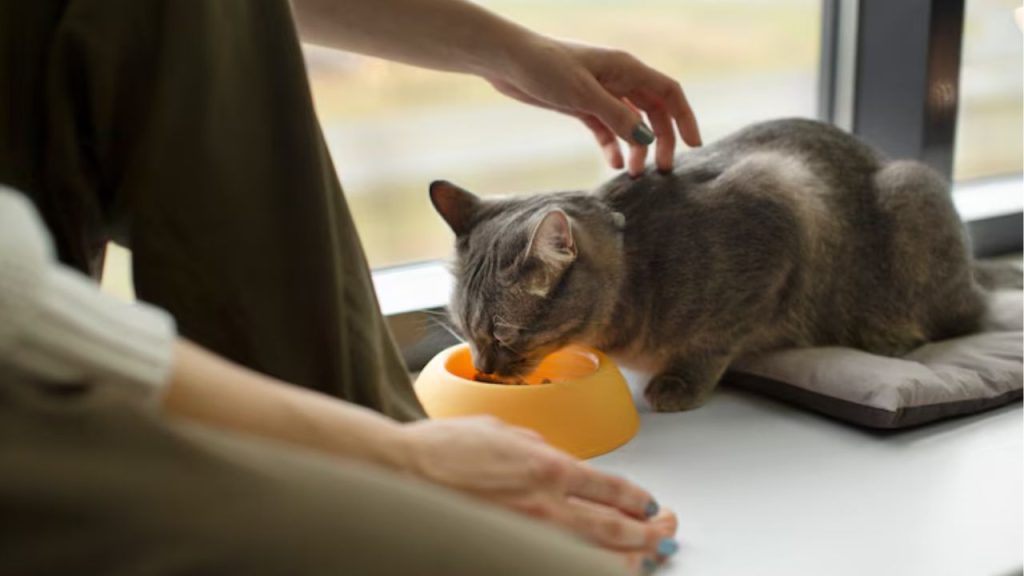 Is Potato Good for Cats?