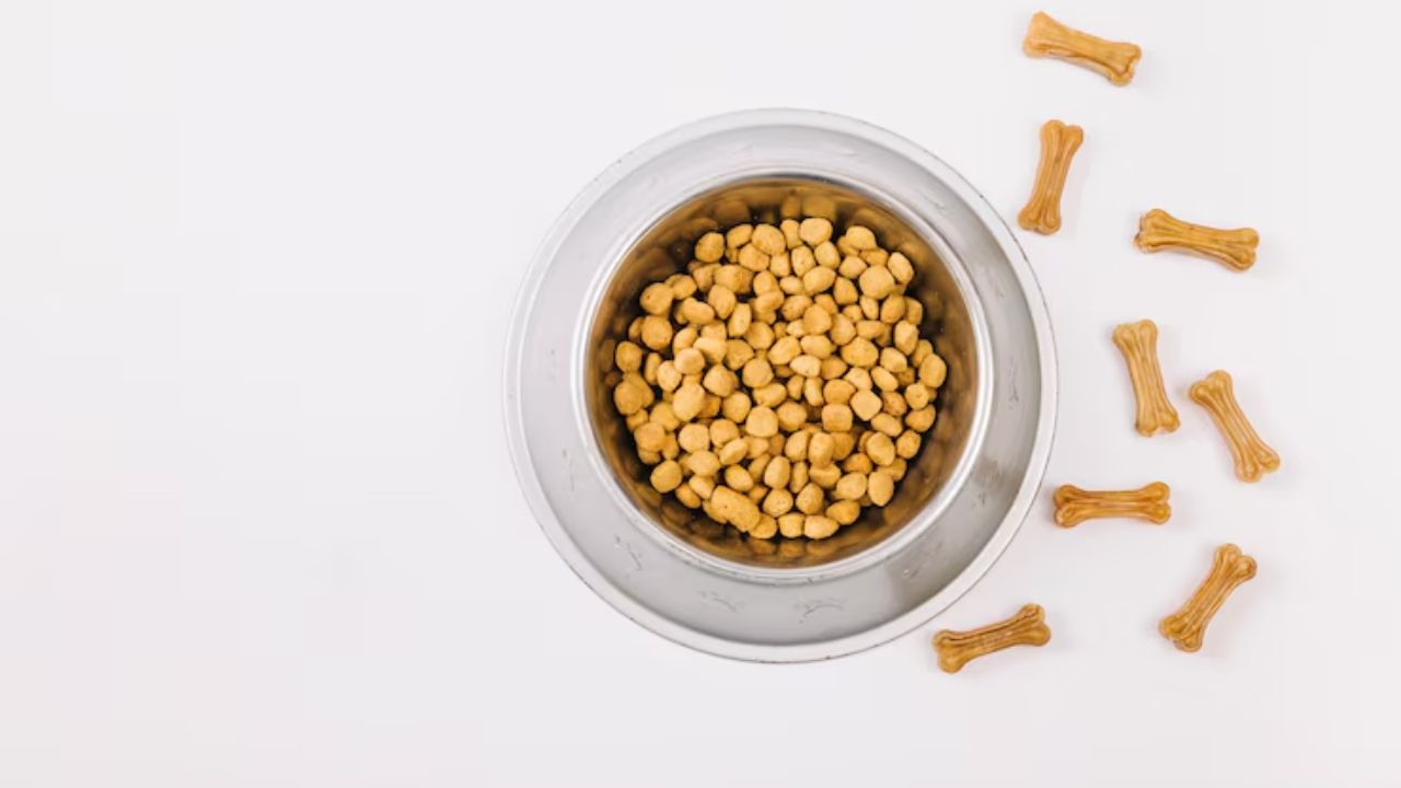 Is kismet dog food good for dogs?
