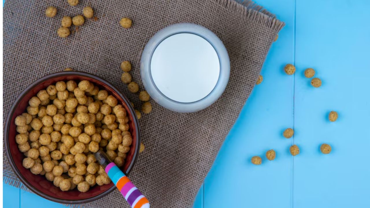 Who is the CEO of Kismet dog food?