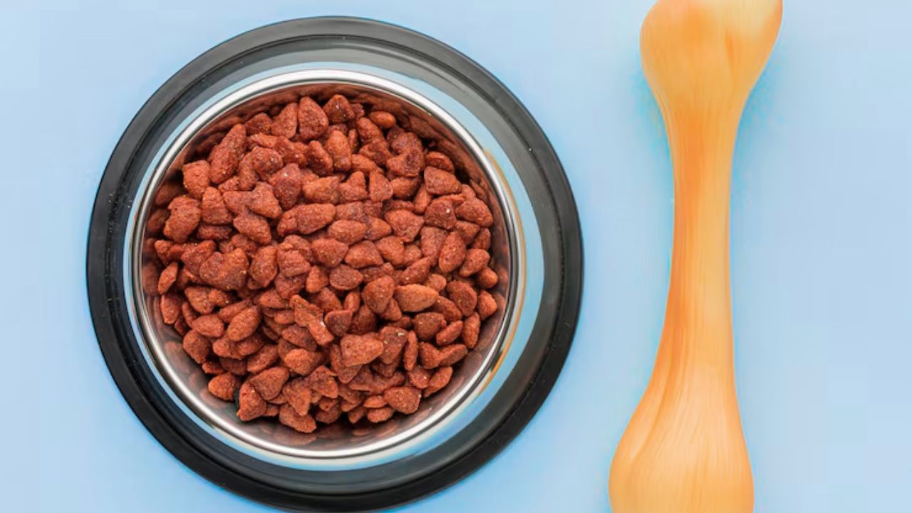 How much is Kismet dog food?