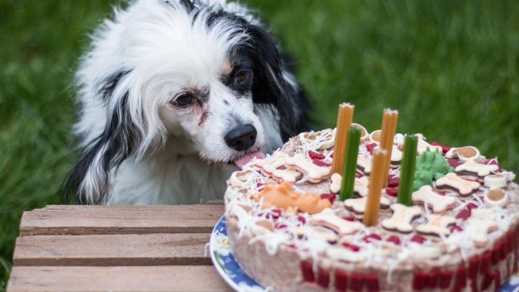 What flour is safe for dog cake?