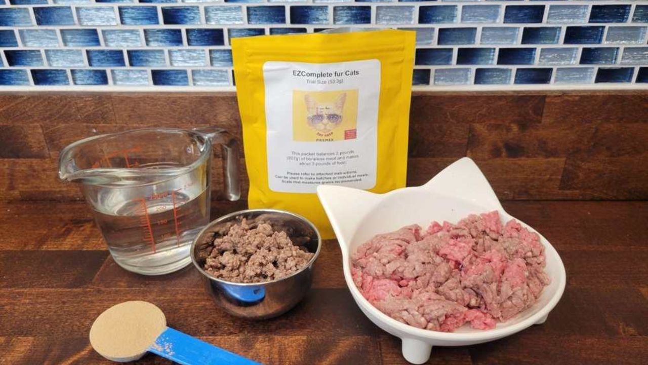 Are cats sensitive to beef?