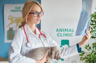 The Cat Health Checklist