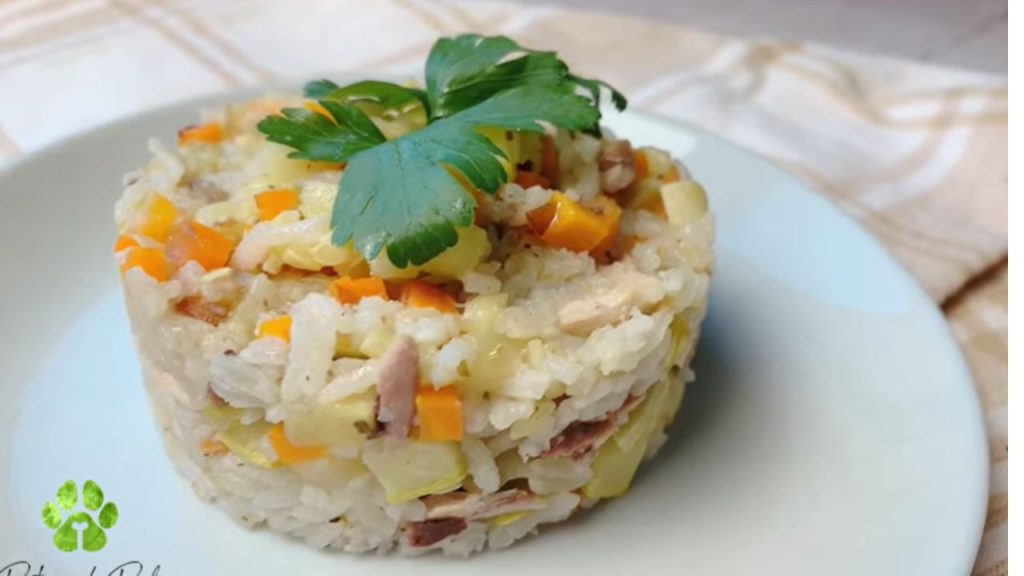 Is rice ok for dogs daily?