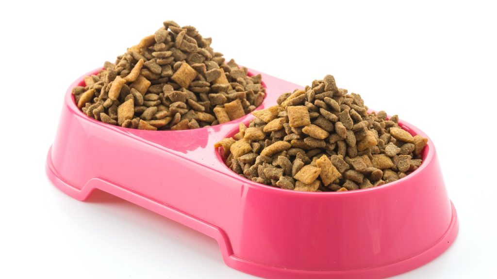 How many gallons is 50lb dog food?