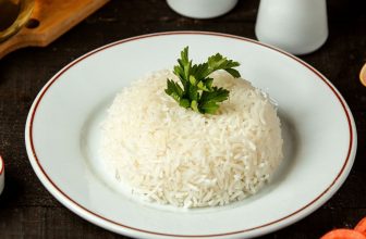 Best Cat Food for Sensitive Stomach