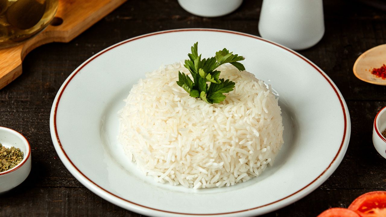 Best Cat Food for Sensitive Stomach