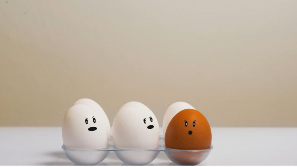 Does dog food contain eggs?