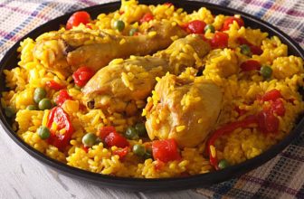 Homemade Dog Food for Senior Dogs