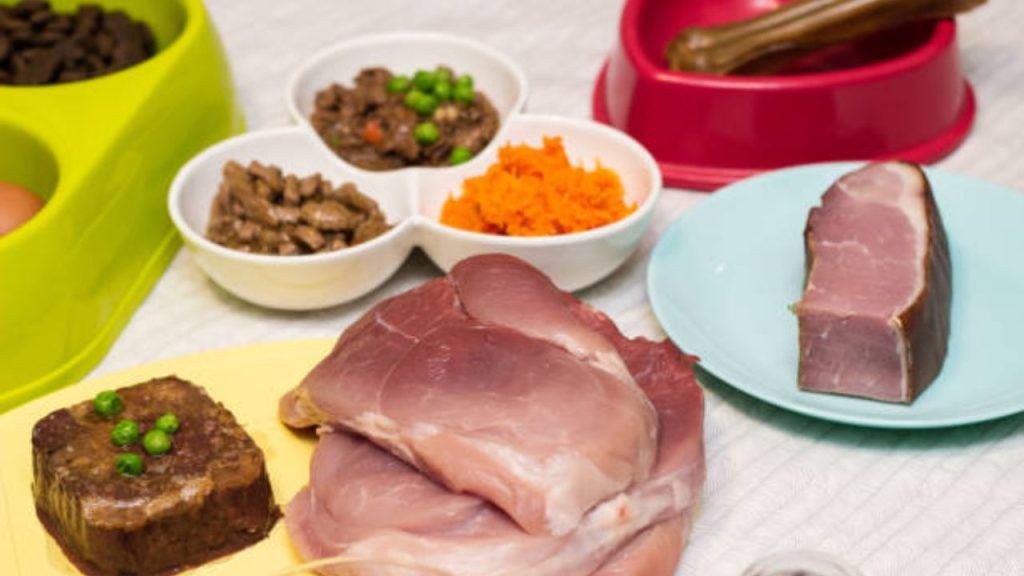 How to make your own hypoallergenic cat food?