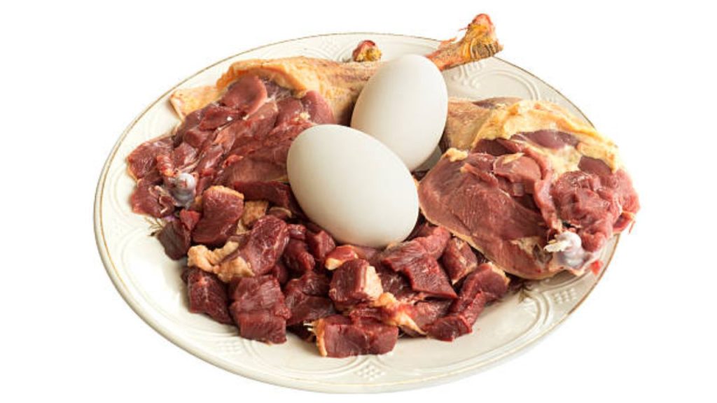 Is duck a good food for cats?