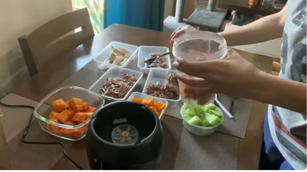 What is a recipe for homemade cat food?