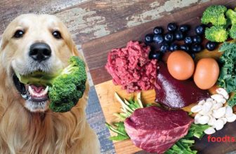 Raw Dog Food on a Budge