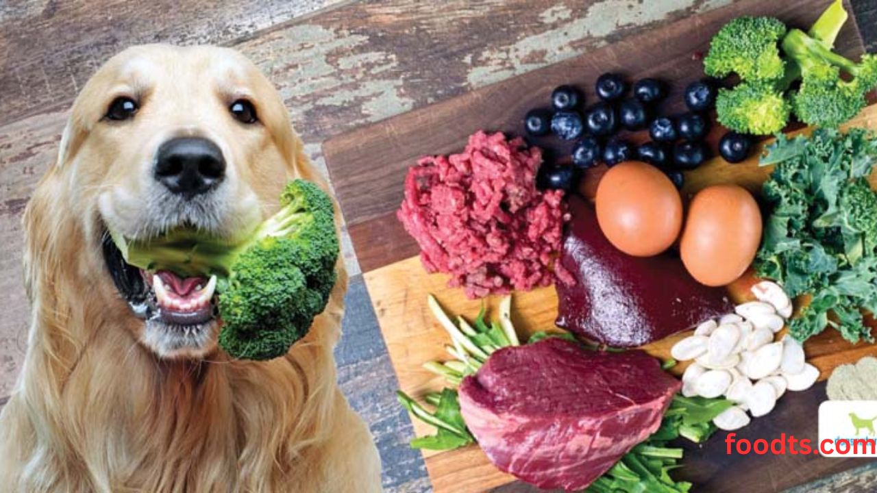 Raw Dog Food on a Budge