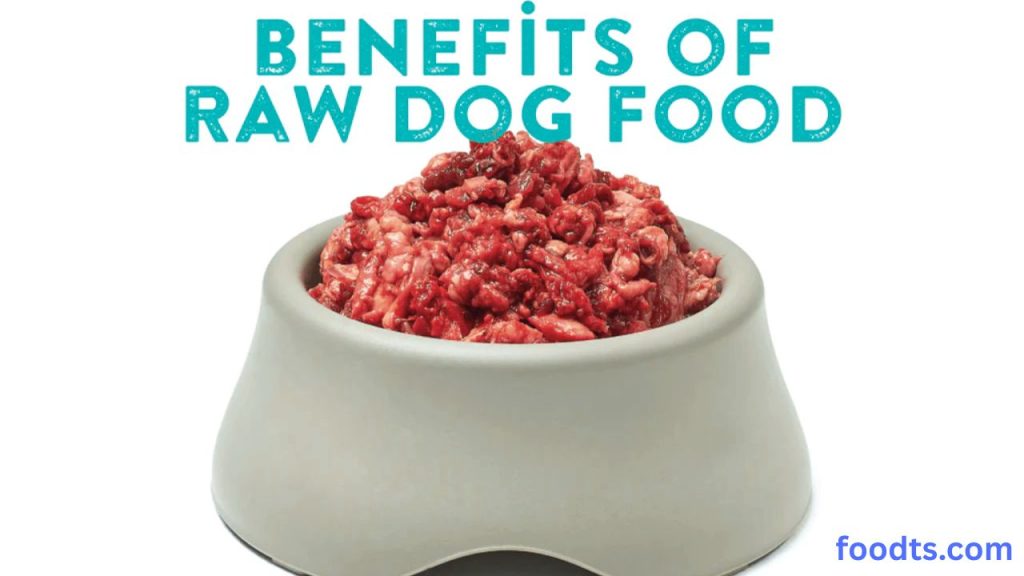How do I feed my dog raw on a budget?