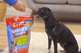 Alpo Food for Dogs