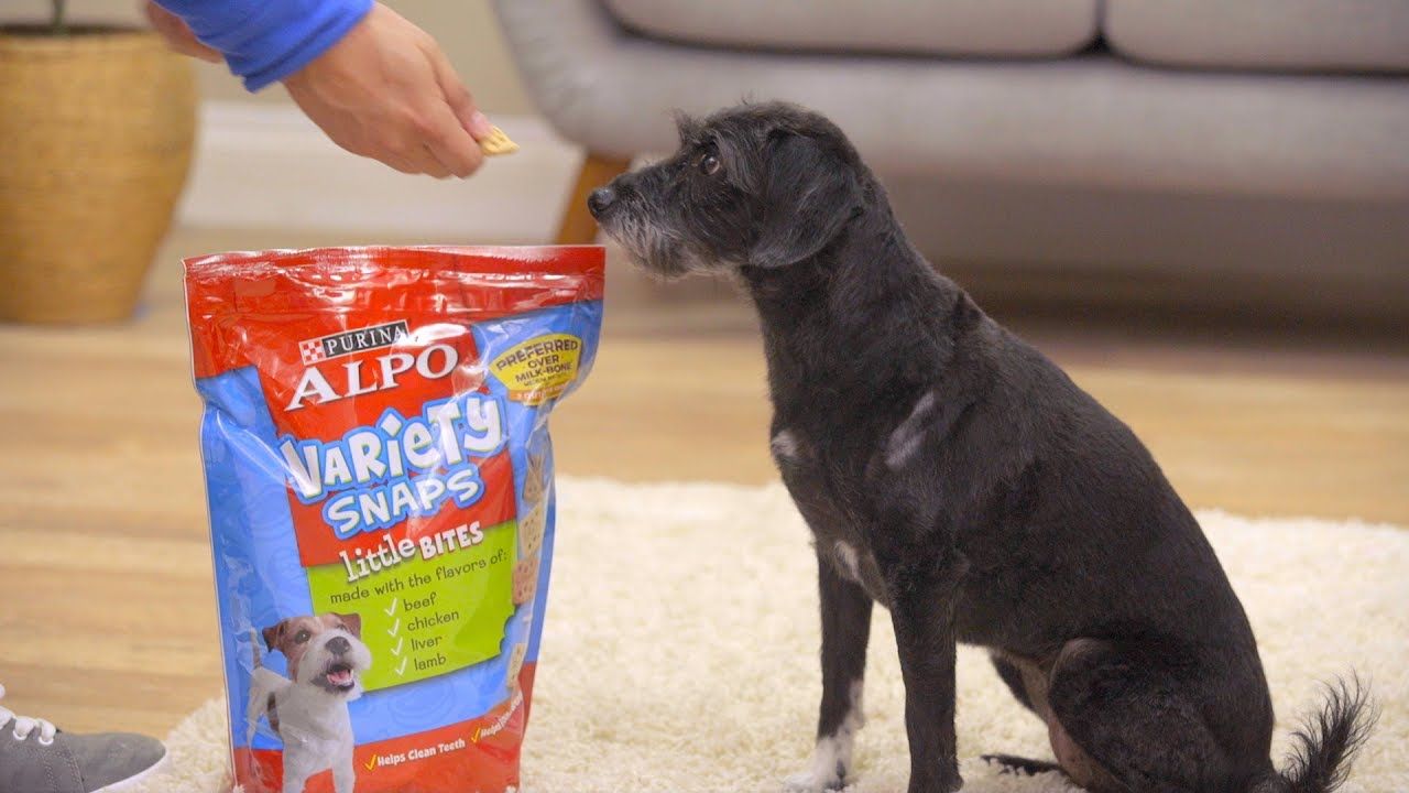 Alpo Food for Dogs